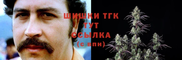 таблы Инсар