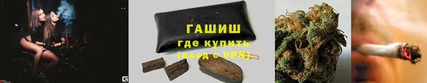 прущие грибы Вуктыл