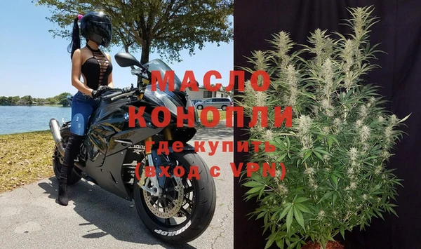 индика Зеленодольск