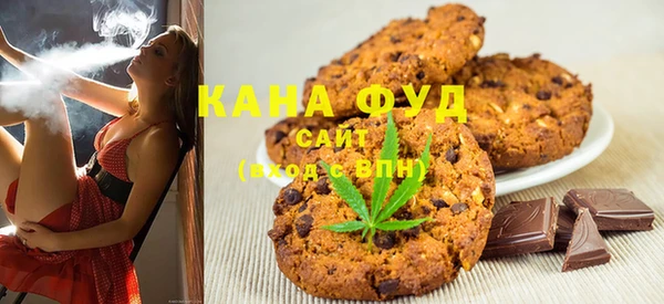 индика Зеленодольск