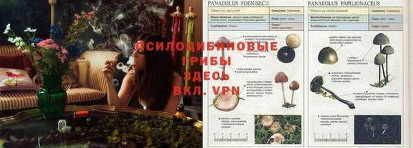 таблы Инсар